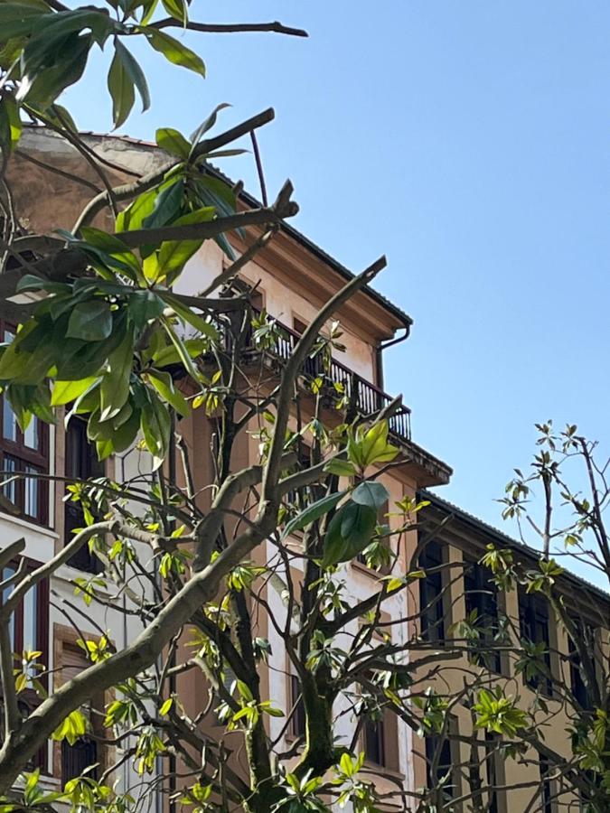 Apartamento Wamba - La Catedral オビエド エクステリア 写真